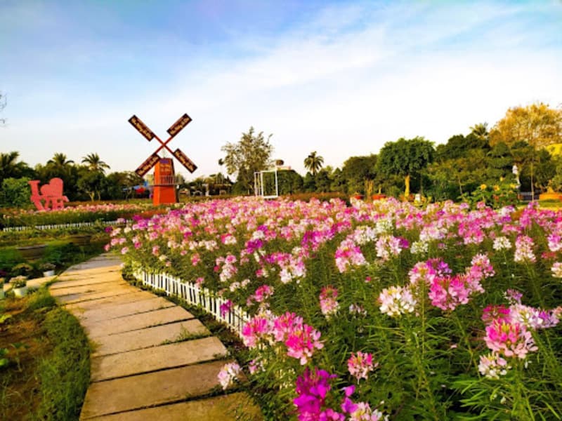 Làng hoa Tân Quy Đông main