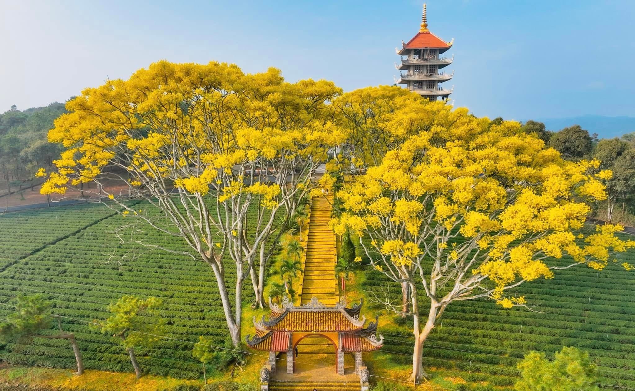 KHÁM PHÁ NÚI RỪNG TÂY NGUYÊN right-1